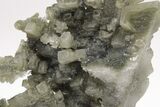 Skeletal Halite Crystals with Tolbachite - Poland #206034-6